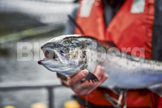 Πώς ένας κλάδος 15,4 δισ. δολαρίων αλλάζει λόγω της κλιματικής αλλαγής