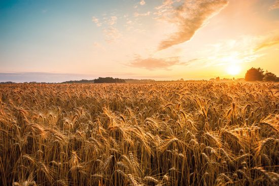 Chipita: Εταιρική υπευθυνότητα με τον άνθρωπο στο επίκεντρο