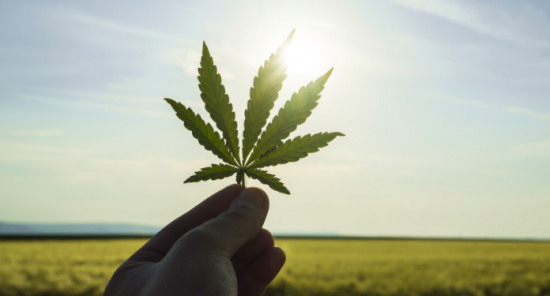 Επενδύσεις σε αμοιβαία… μαριχουάνας!