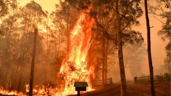 Πολιτική Προστασία: Πρόληψη, συντονισμός, drones και πρόστιμα που θα φτάνουν μέχρι και €50.000 – Οι αλλαγές 