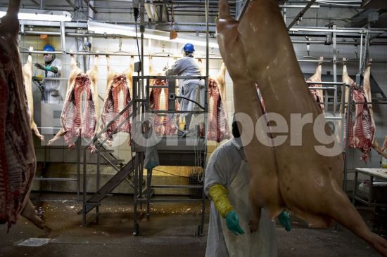 Eκατοντάδες εργαζόμενοι στην αμερικανική βιομηχανία κρέατος θετικοί στον κορωνοϊό