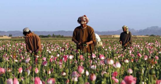 Η πανδημία έχει «μπλοκάρει» το διεθνές εμπόριο ναρκωτικών