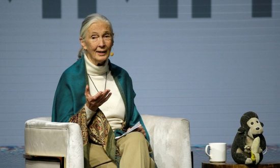 Τζέιν Γκούντολ: Οι νέοι δεν πρέπει να αναζητούν πώς θα γίνουν Γκέιτς και Μπέζος