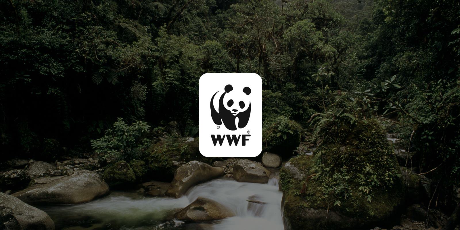 Γιατί η Ρωσία χαρακτηρίζει τη WWF απειλή για την οικονομία της