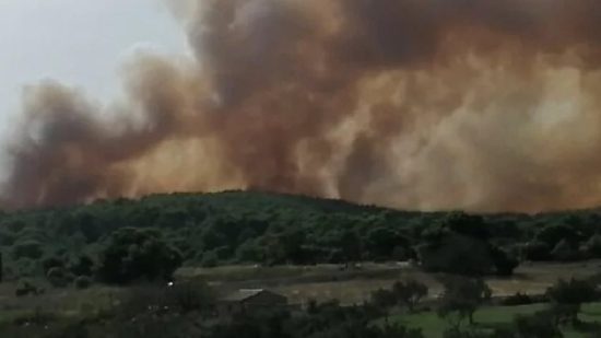 Ανεξέλεγκτη φωτιά καίει τη Ζάκυνθο – Απειλεί οικισμό