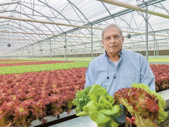 Φιλιππίδης, Λαδακάκος, Παπασταματίου (ΕΝΤΕΚΑ): Από την πράσινη ενέργεια στην πράσινη γεωργία