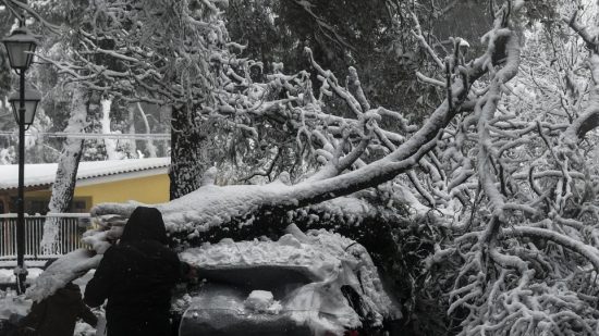 Κακοκαιρία «Μήδεια»: Κόπηκαν 600 δέντρα στα βόρεια προάστια