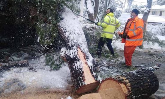 ΔΕΔΔΗΕ: Ολοκληρώνονται οι εργασίες στο Δίκτυο Μέσης Τάσης της Αττικής