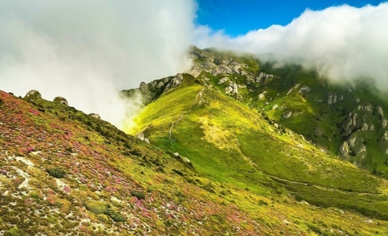 Γιορτάζουμε τη Φύση, προστατεύουμε το νερό, φροντίζουμε το μέλλον