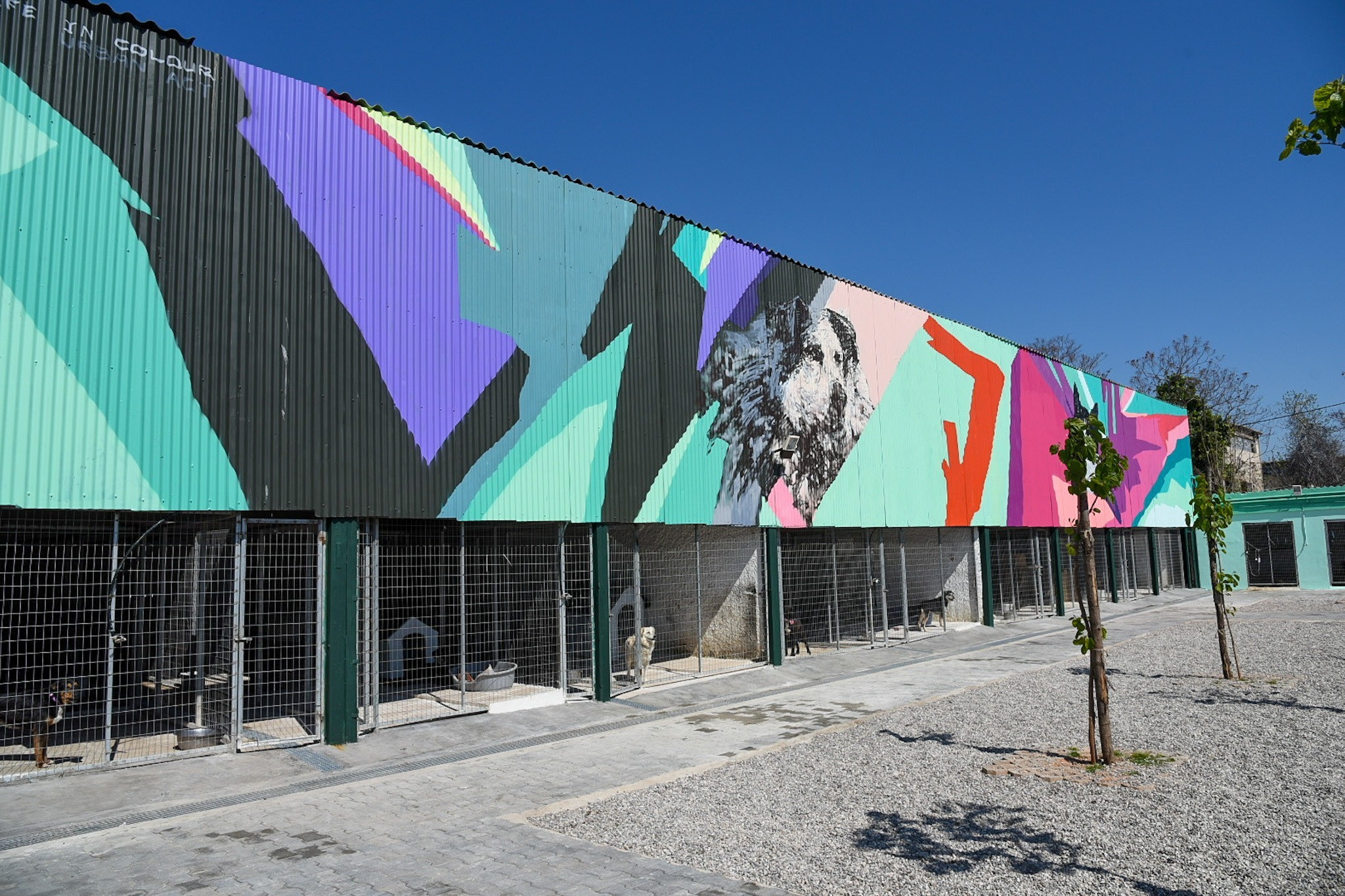 Έτοιμο το πρώτο σύγχρονο καταφύγιο αδέσποτων ζώων του Δήμου της Αθήνας (φωτο)