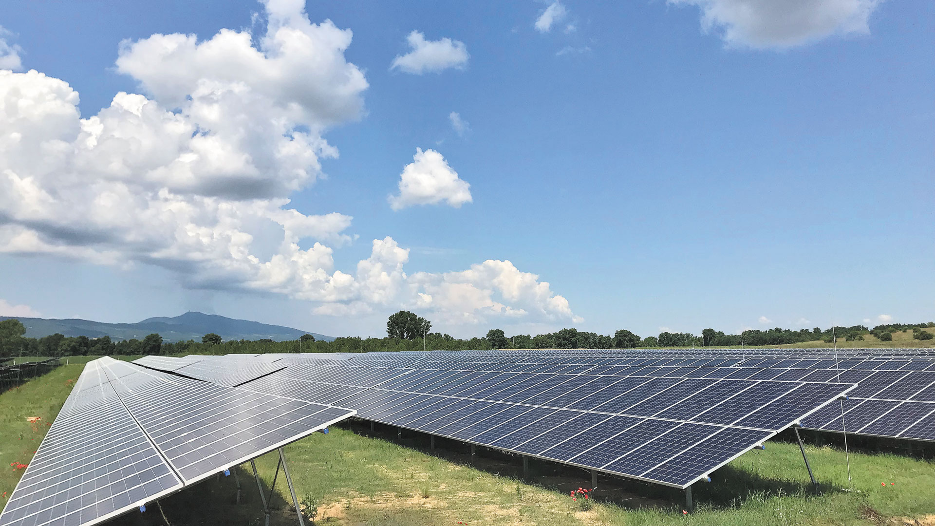 Φωτοβολταϊκά στο χωράφι: Εντυπωσιακή ζήτηση – Οι αιτήσεις ξεπέρασαν από την πρώτη μέρα τις 675
