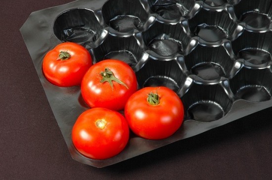 Ξεμένει από… ντομάτες η Βρετανία