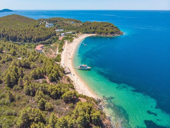 Oι δασικοί χάρτες παγώνουν τις μεταβιβάσεις ακινήτων