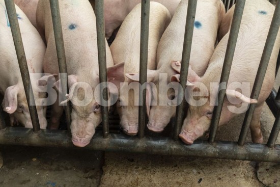 Το πονηρό κόλπο των Κινέζων για να βγάλουν περισσότερα λεφτά που … απέτυχε παταγωδώς