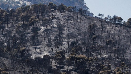 Φωτιά στον Σχίνο: Συνεχίζουν οι προσπάθειες κατάσβεσης – Παραμένουν οι διάσπαρτες εστίες