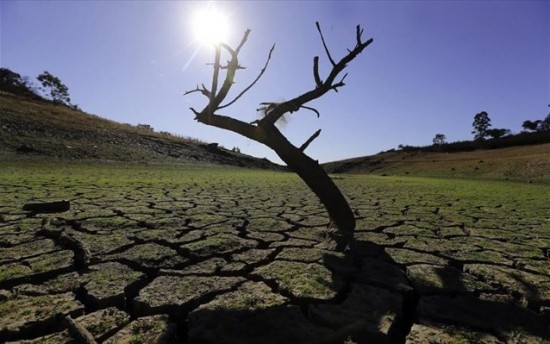 Ισπανία: Οι ελιές και τα δημητριακά απειλούνται από την ξηρασία