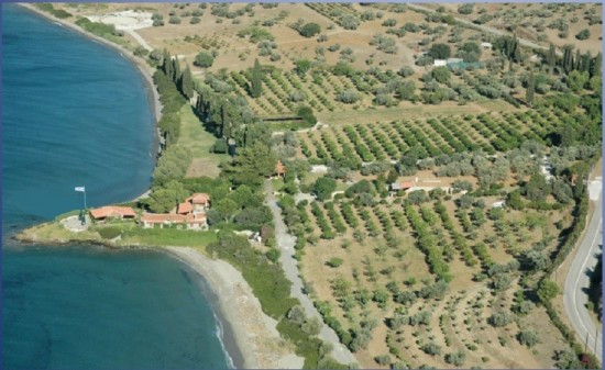 Δείτε το κτήμα του Κοντομηνά στο Μετόχι Αργολίδας που πωλείται για 30 εκατ. (pics)