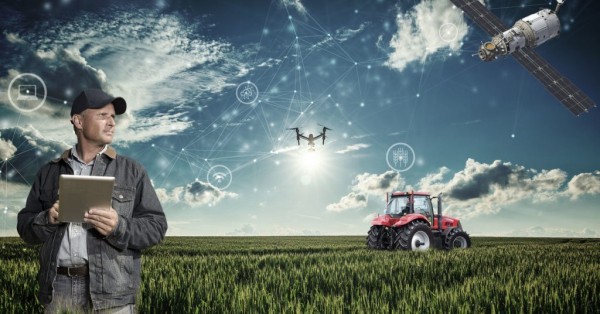 Από την παραγωγικότητα στη βιωσιμότητα: Η ολιστική νοημοσύνη στο HR της αγροτικής οικονομίας