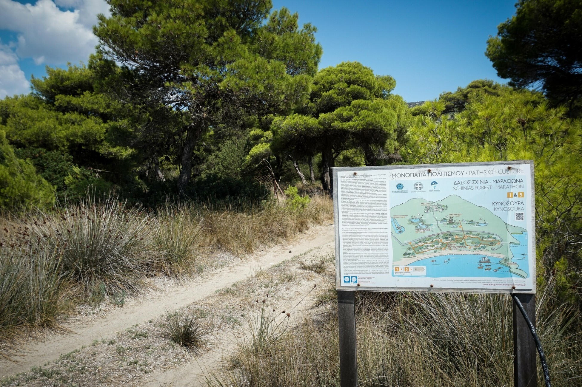 Πυρ ομαδόν από περιβαλλοντικές οργανώσεις για τα έργα πυροπροστασίας στον Σχινιά