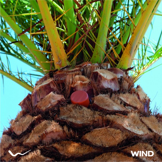 WIND: Η τεχνολογία στην υπηρεσία του περιβάλλοντος