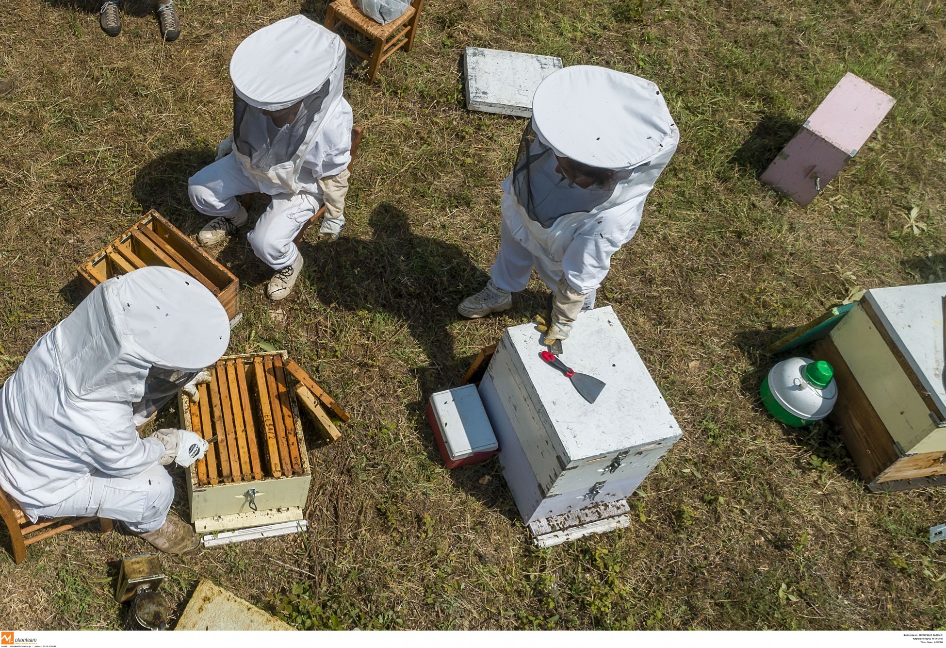 Κάηκαν 9.000 μελισσοσμήνη και χάθηκαν 10.000 τόνοι πευκόμελου – Σε απόγνωση οι μελισσοκόμοι