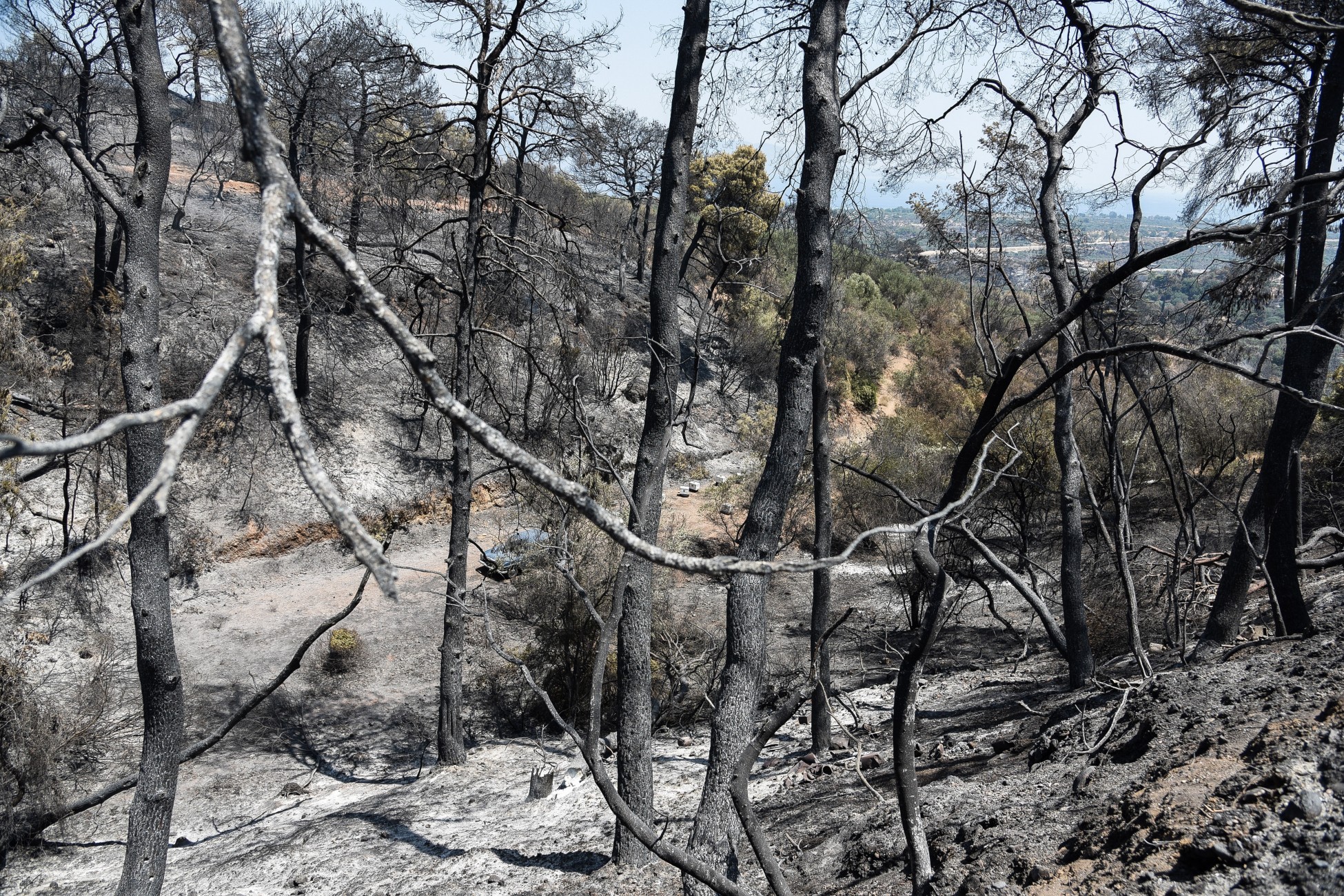 Φωτιές στην Αχαΐα: Μέτρα στήριξης ανακοίνωσε ο Στέλιος Πέτσας – Ποιοι θα λάβουν έως 6.000 ευρώ