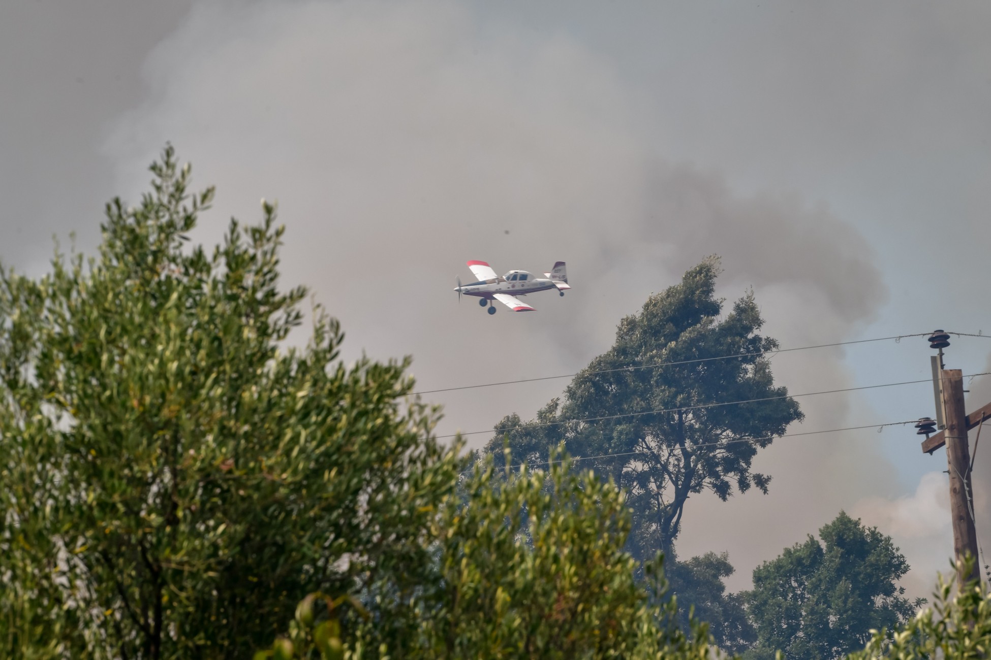 Φωτιά Αρχαία Ολυμπία: Αναζητείται ύποπτος για εμπρησμό