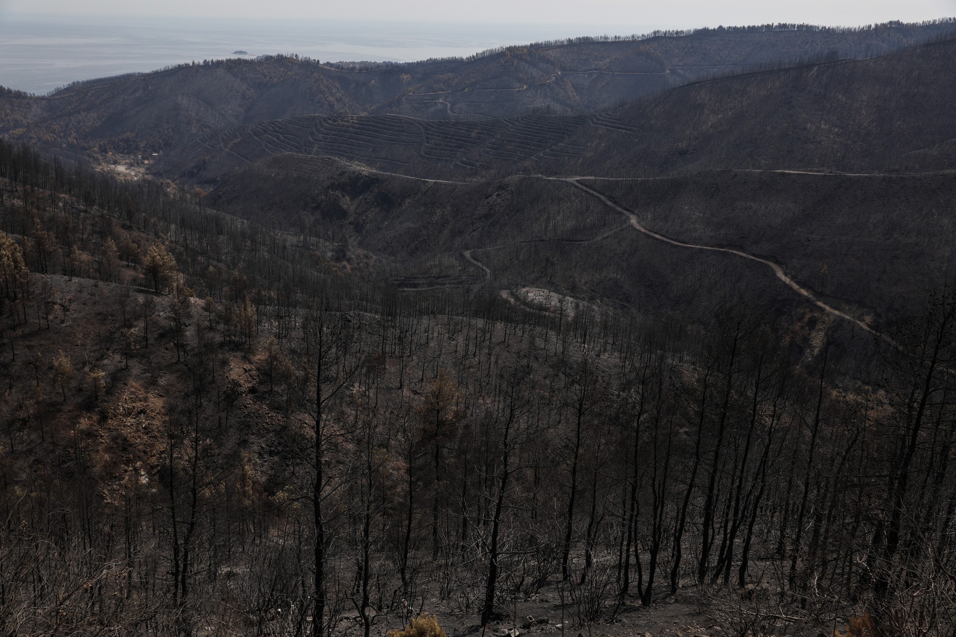 Φωτιά: Δορυφόρος κατέγραψε την κόλαση στην Εύβοια – Στάχτη πάνω από 510.000 στρέμματα (pics)