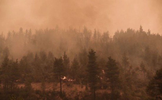 Πύρινος εφιάλτης στην Εύβοια: Κοντά στις Καματριάδες το πύρινο μέτωπο – Μάχη με τις μεγάλες αναζωπυρώσεις (vid) (upd)