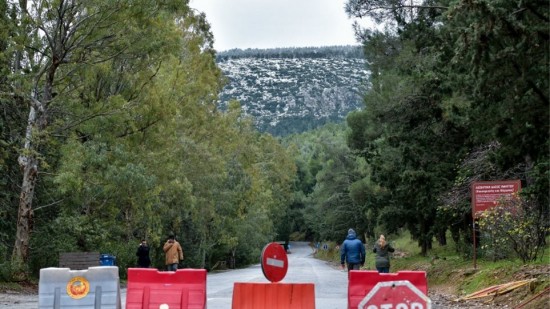 Συνελήφθη 38χρονος για απόπειρα εμπρησμού στο Άλσος Φινοπούλου στο Γκύζη
