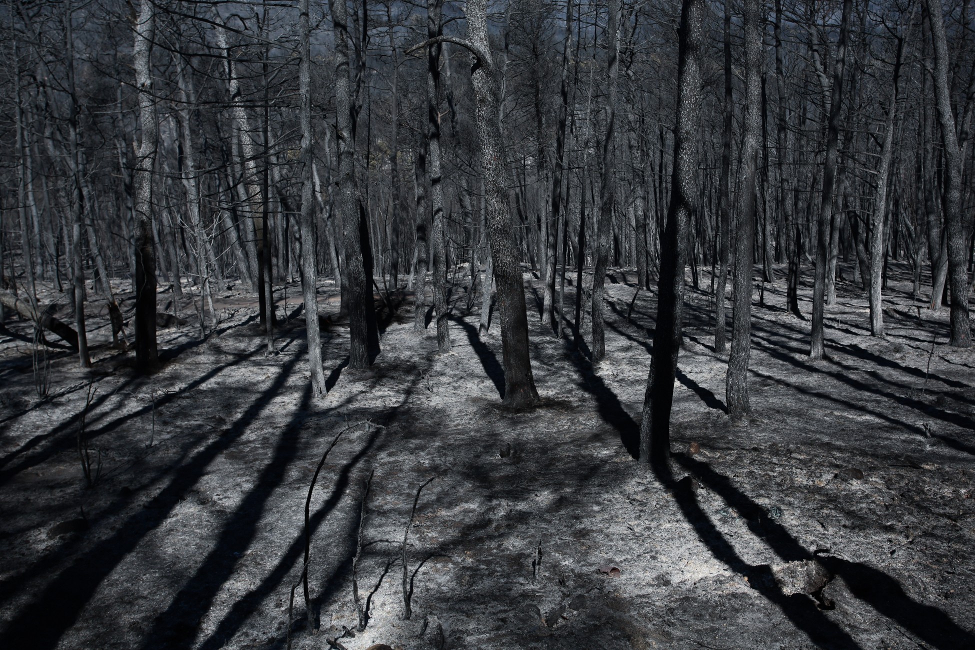 Φωτιές: Οικολογική καταστροφή με πάνω από 650.000 στρέμματα καμένα σε όλη τη χώρα