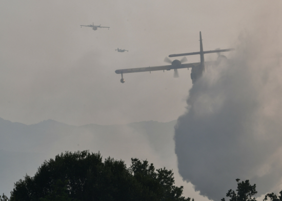 Κομοτηνή: Φωτιά σε δασική έκταση στην Νυμφαία