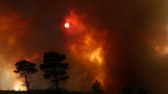 Φωτιές: Τρίτη η Ελλάδα στη Μεσόγειο σε καμένες εκτάσεις – Αύξηση 336% από πέρυσι