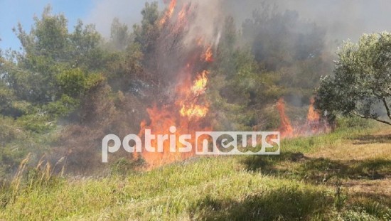 Σε πύρινο κλοιό η Ηλεία – Αναζωπύρωση στη Νεμούτα