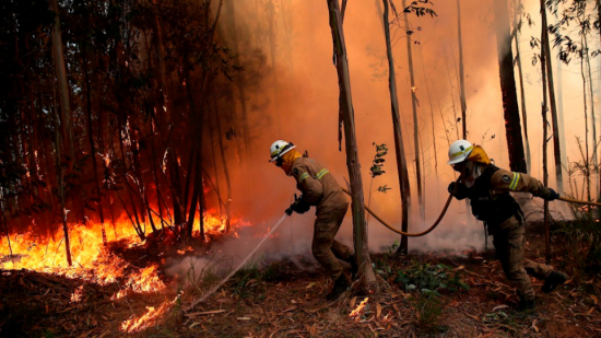 Ελλάδα – Τουρκία: Οι πυρκαγιές καίνε τα δάση αλλά και την οικονομία