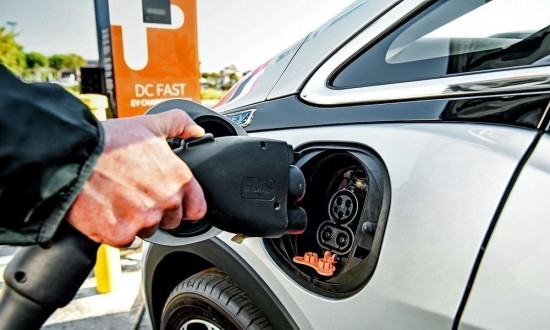 Αγελάδες και ηλεκτρικά αυτοκίνητα: Αλήθεια, πώς συνδέονται;