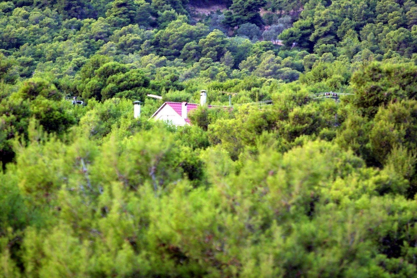 Στο… «περίμενε» η ρύθμιση για τις καταπατημένες εκτάσεις