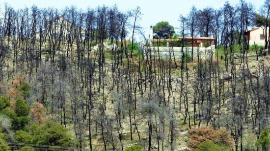 YΠΕΝ: ΔΕΗ και EREN στο χορηγικό πρόγραμμα για την αποκατάσταση των καμένων στην Βόρεια Εύβοια  