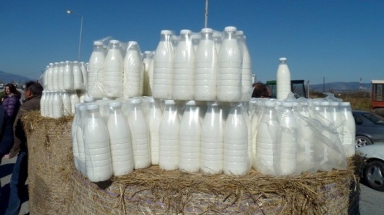 ΕΛΓΟ-ΔΗΜΗΤΡΑ: Λιγότεροι κατά 11% οι κτηνοτρόφοι που παρέδωσαν αγελαδινό γάλα το 10μηνο του 2022