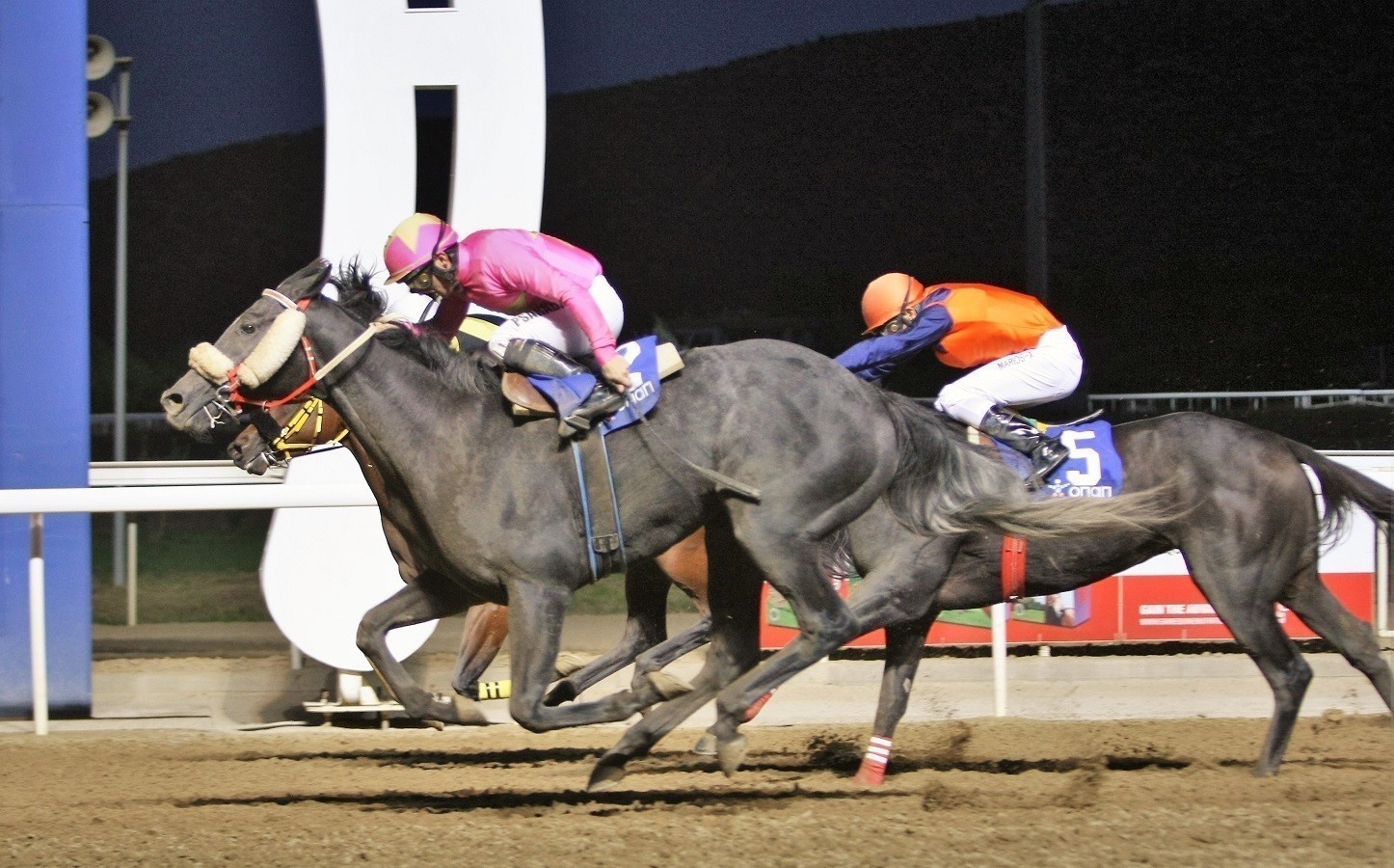Markopoulo Park: Η κορυφαία ιπποδρομία της χρονιάς έρχεται τη Δευτέρα 11 Οκτωβρίου (pic)