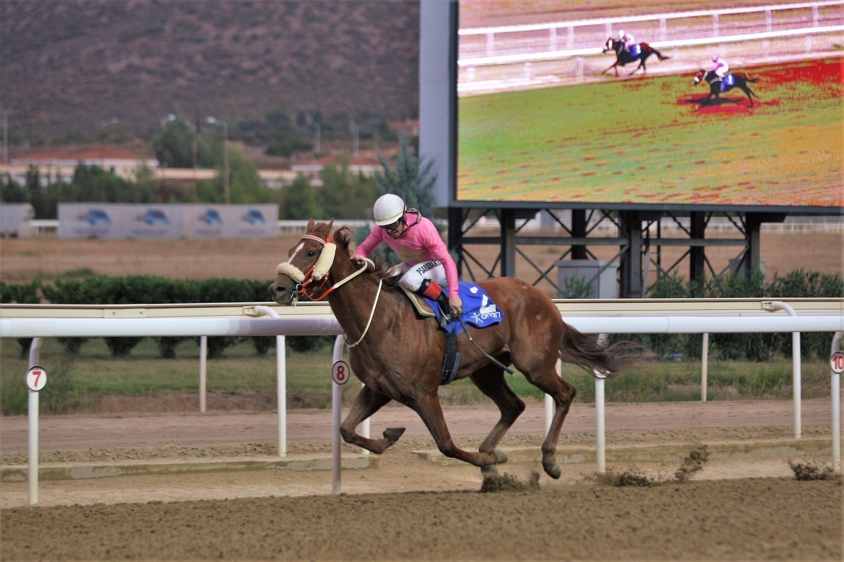 Ο Νιου Χόλαντ μεγάλος νικητής του 75ου Ελληνικού Ντέρμπι στο Markopoulo Park