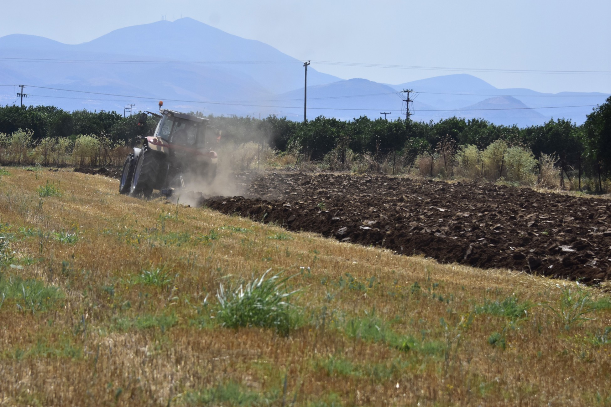 «Νέοι Γεωργοί»: Επιδότηση έως 40.000 ευρώ – Ανοίγει η πλατφόρμα στις 12/11