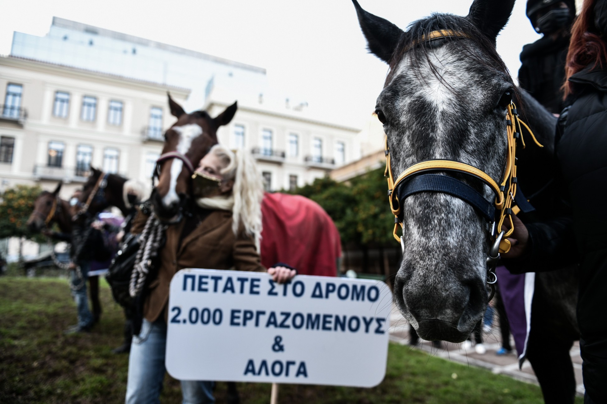 Συγκέντρωση εργαζομένων του Ιπποδρόμου με άλογα, στο κέντρο της Αθήνας (pics)