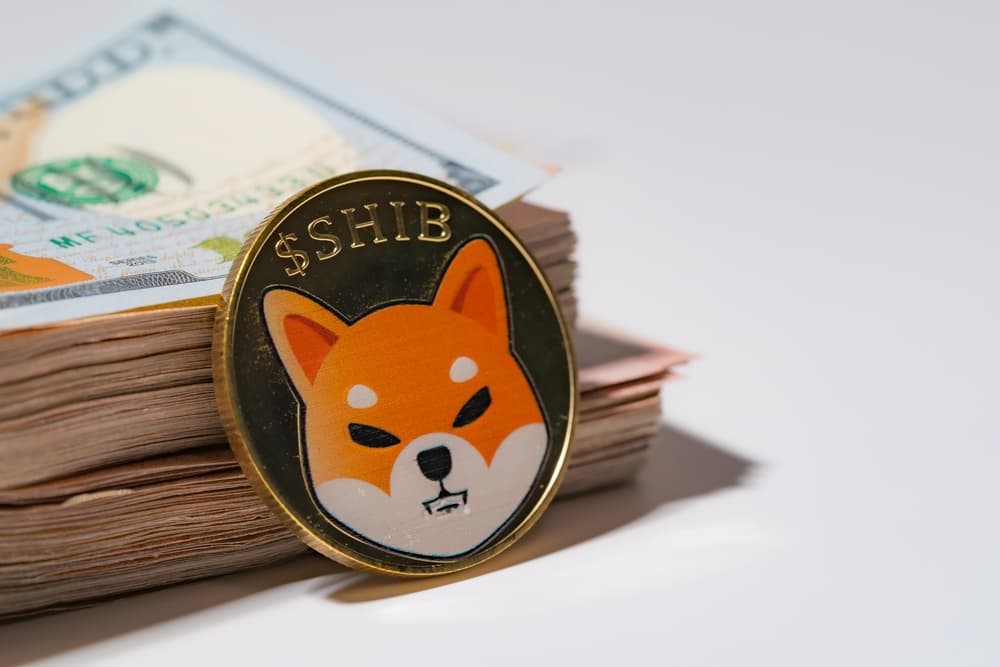 Το ράλι του Shiba Ιnu εκτόπισε το Dogecoin από το top-10| newmoney