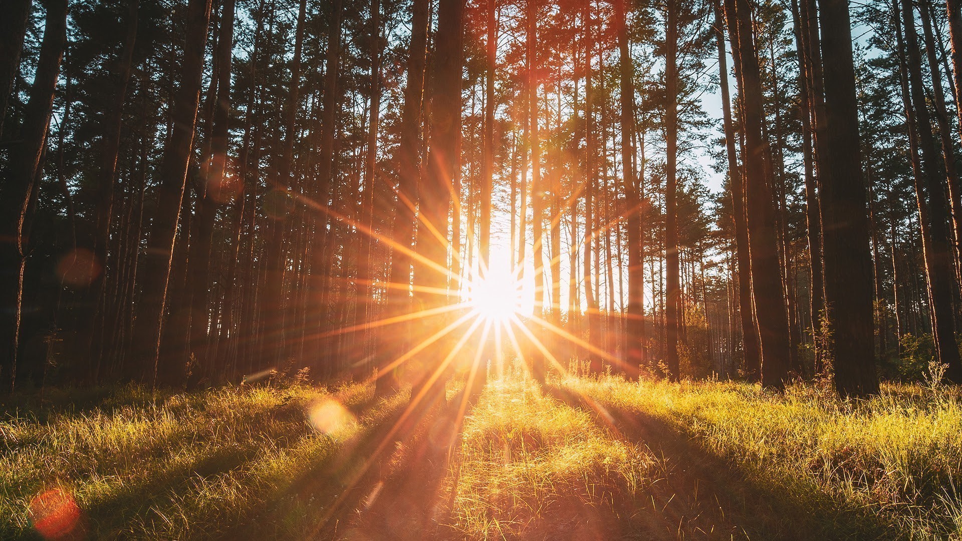 Ιδρυμα Σταύρος Νιάρχιος: Ξεκινά η υλοποίηση της πρωτοβουλίας €15.000.000 για τη στήριξη της Β. Εύβοιας