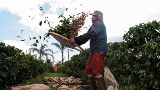 Πώς η αύξηση της ζήτησης για καφέ οξύνει την κλιματική κρίση