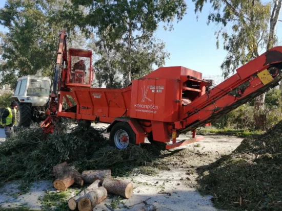 Δήμος Αθηναίων: Απομακρύνονται τα δέντρα που έπεσαν κατά την κακοκαιρία