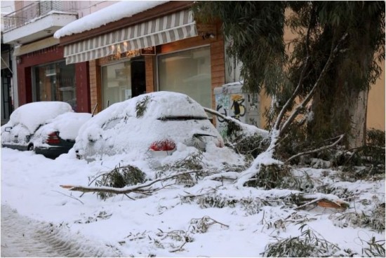 Δήμος Αθηναίων: Πώς θα δοθούν αποζημιώσεις για τα αυτοκίνητα με ζημιές από πτώσεις δένδρων