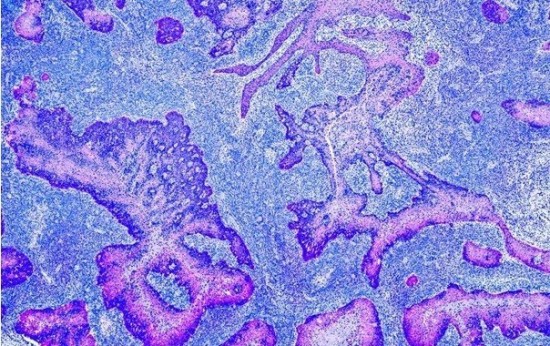 Science: Αυτό είναι το σημαντικότερο επιστημονικό επίτευγμα του 2021