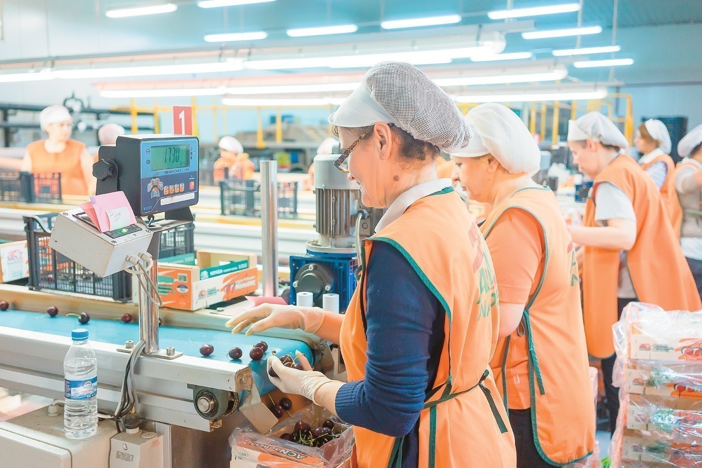 Ομαδική ασφάλιση υγείας: Αποτελεί μια επιπλέον παροχή στις επιχειρήσεις;